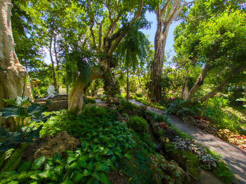 Doi Inthanon National Park Thailand
