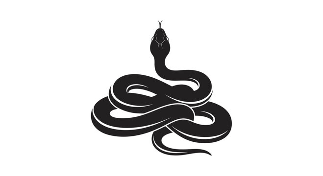 Black snake coiled in threatening posture.