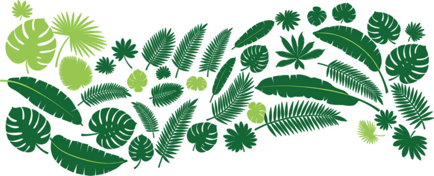Tropical Leaves Collection Vector Set Featuring Palm, Monstera, Fern and Jungle Foliage Elements in Flat Illustration Style