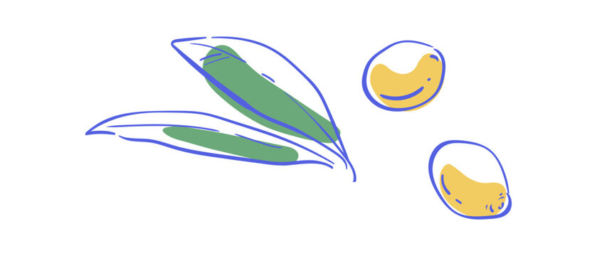 Minimalist vintage olive branch sketch icon. Simple mediterranean food emblem as cute italian symbol. Yellow color olives with green leaves suggest oil, menu art and cafe logo in linear hand drawn