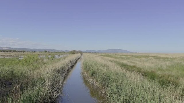 Parque Natural del Prat de Cabanes-Torreblanca
