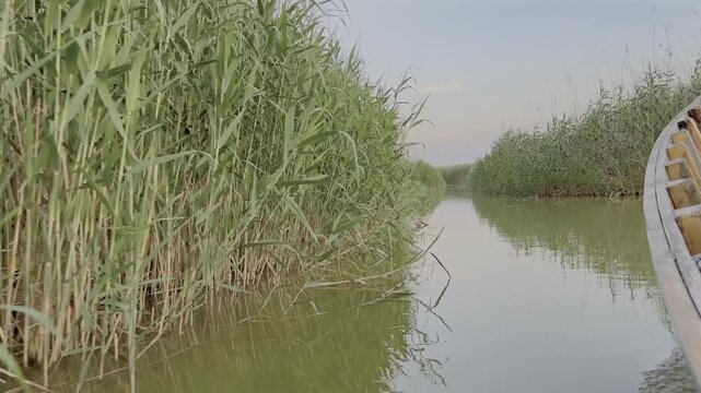 Precioso recorrido en barca en la albufera de Valencia con el atardecer de fondo	