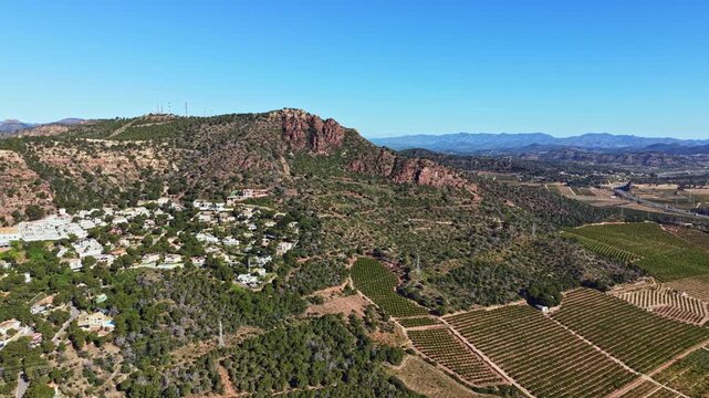 A small town sits near the base of a rocky hill surrounded by vineyards and fields under a clear blue sky during the day in spring. The landscape shows rows of grape plants.
