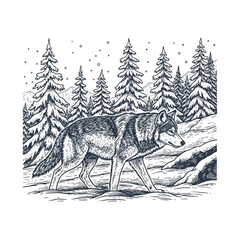 Obraz premium Wolf Walking in Snowy Forest.
