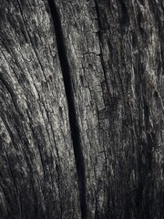 Fototapeta premium Various background