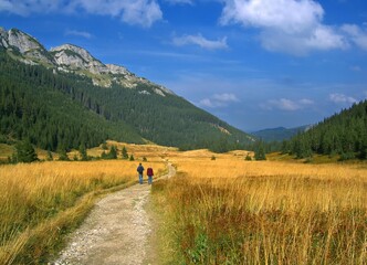 Fototapeta premium People on the mountain hiking trail in the Tatra Mountains, Poland. Surrounded by mountains , forest and yellow grass..