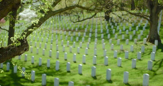 Graves in Arlington National Cemetery