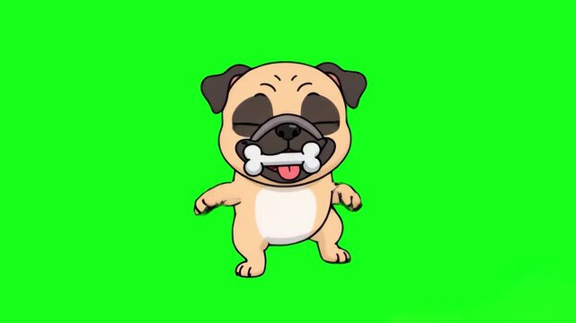 A delightful 2D character animation of a small beige pug puppy dog holding a bone in its mouth and dancing happily on a green chroma key background. Perfect for pet shop commercials, veterinary clinic