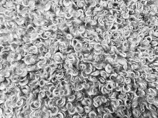 Luxury Curly Grey Fur Texture Background, Soft Sherpa Fleece Textile Surface for Fashion and Cozy Home Decor © PeachyPixels