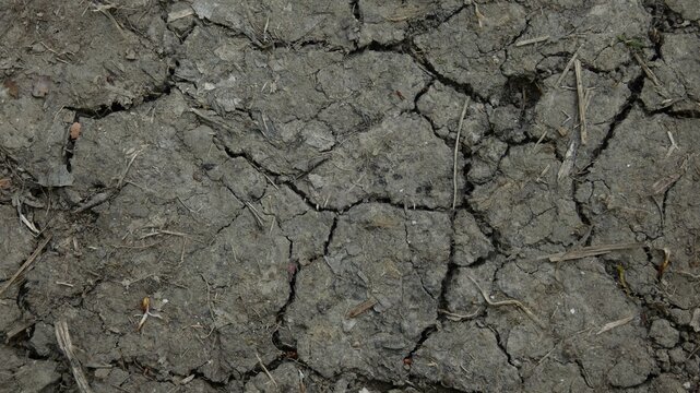 Dry cracked soil texture. Arid ground in natural light (environmental concept).