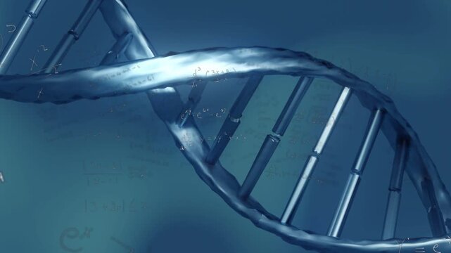 Camera shifting, blue helix rotating, formulas fading in, light traveling rungs to show math links