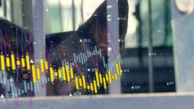 Chart overlay sliding across frame, dark dog shifting head, gazing through bars, reacting to noise