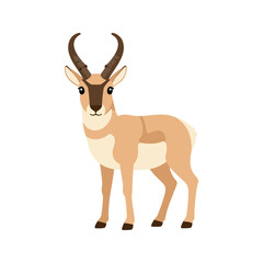 Obraz premium Pronghorn standing alert with its brown and white fur on a white background