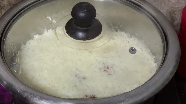 White Rice Cooking Inside an Electric Rice Cooker with Glass Lid