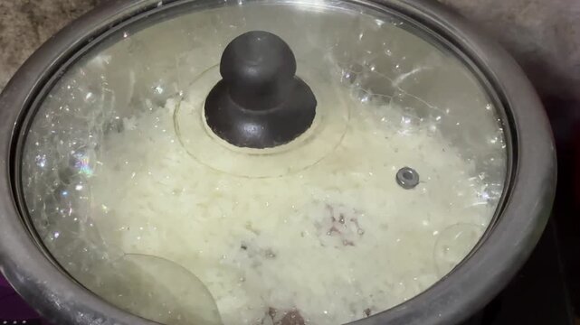 White Rice Cooking Inside an Electric Rice Cooker with Glass Lid