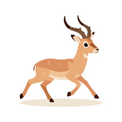 Fototapeta premium Running impala with large curving horns and light brown fur on a white background