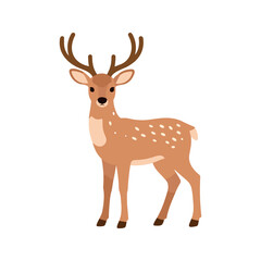 Fototapeta premium Fawn stands tall with a reddish-brown coat spotted with white dots on an isolated backdrop
