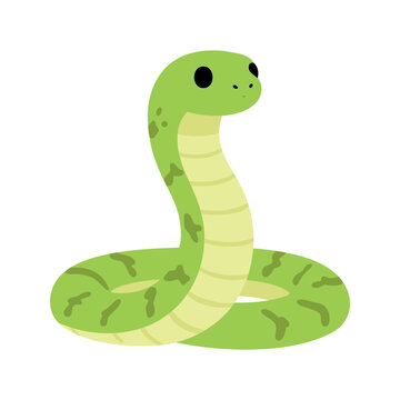 A cartoon-styled green snake, spotted with darker green, has a light yellow belly and is coiled up facing the viewer.