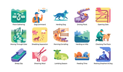 Fototapeta premium Sheep herding and shepherd icons showing flock management activities