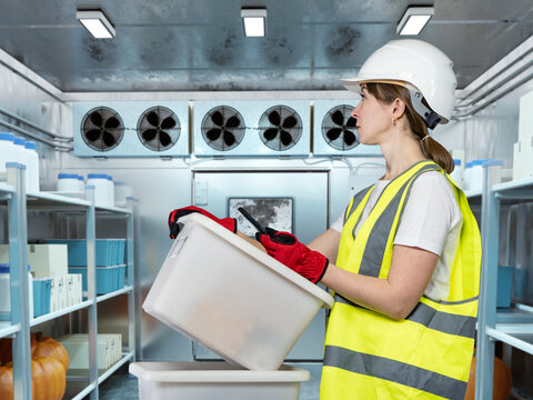 Cold storage worker checks containers inside refrigerated warehouse for food logistics and safety.