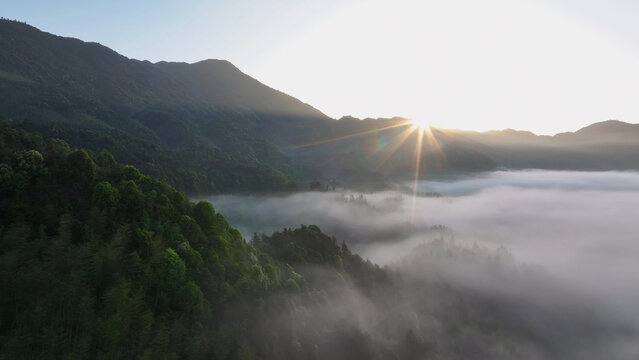 Morning sunlight pierces through misty mountain valleys with dense forest and sea of clouds