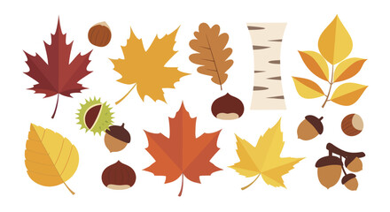 Autumn leaves and acorns collection seasonal fall foliage design elements. © Ndog