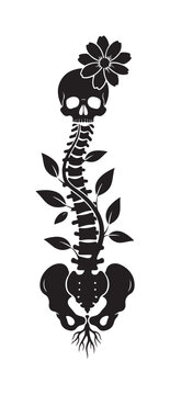 Black skeleton with flower design.