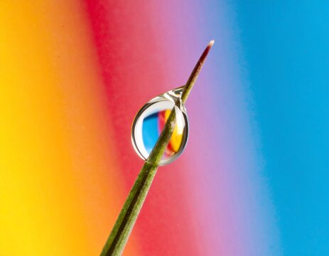 Macro Water Droplet on Grass Blade with Rainbow Reflection