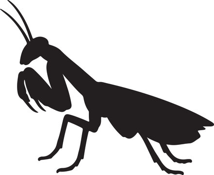 Black praying mantis silhouette, insect icon, mantis clip art, bug graphic