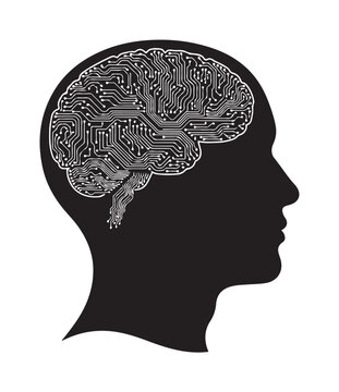 Brain Inside Silhouette Profile Illustration Emphasizing Brain Anatomy.