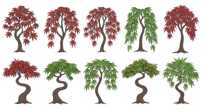 bonsai trees in various colors and styles.