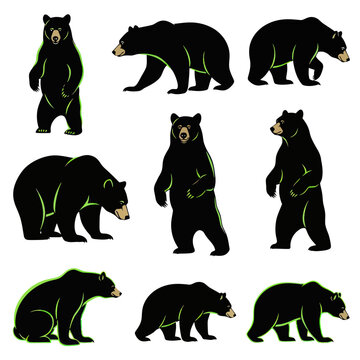 Collection of Black Bear Poses, Wildlife Illustration