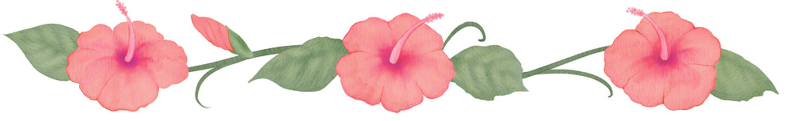 Watercolor yellow hibiscus horizontal line border with leaves and vines, hand painted tropical flower frame on transparent background for summer designs300dpi © URU