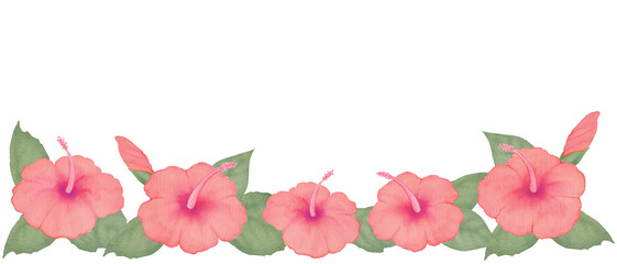 Watercolor yellow hibiscus horizontal line border with leaves and vines, hand painted tropical flower frame on transparent background for summer designs300dpi © URU