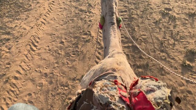 Camel ride in the desert of Rajasthan, India.