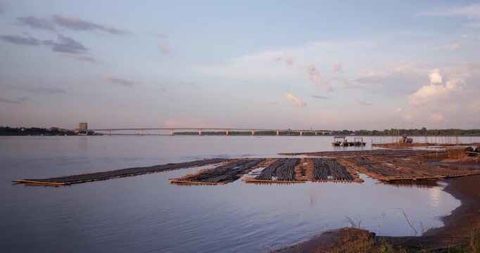Wide view of pre assembled sections for a future seasonal bamboo bridge floating on the Mekong River and stacked along the bank during construction in Kampong Cham