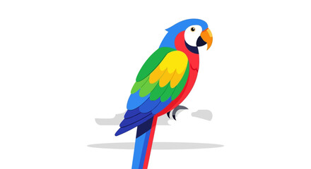 Colorful macaw parrot vector illustration isolated on white background © Konco