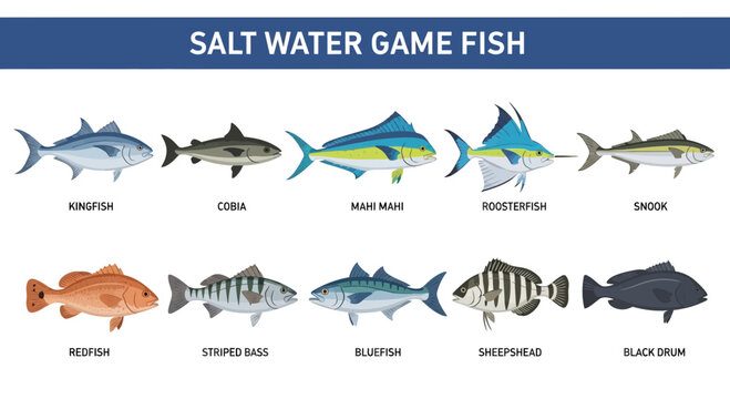 Variety of Saltwater Game Fish Species.