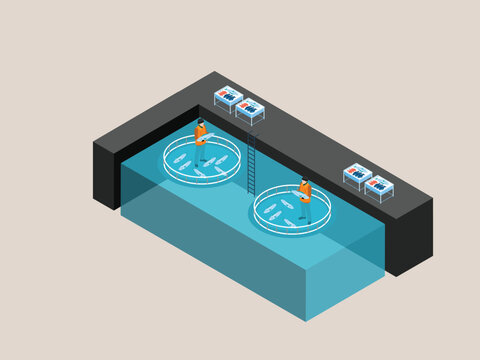 Indoor Aquaculture Fish Farm with Workers and Harvesting Tank 3d isometric vector illustration