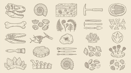 A detailed illustration showcasing a collection of paleontological artifacts, including dinosaur skulls, fossils, excavation tools, and plant imprints, presented on a textured beige background. © KN collection