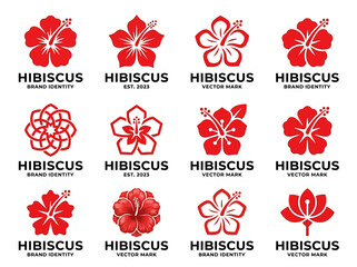 Set of Red Hibiscus Flower Logo Designs and Vector Marks for Tropical Brand Identity and Floral Branding Templates © Agus