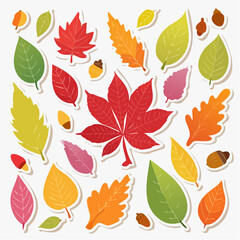 Obraz premium Autumn Leaves and Acorns Collection