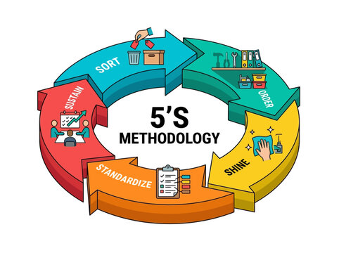 5S Methodology Infographic for Lean Management and Workplace Organization: Sort, Order, Shine, Standardize, Sustain - Process Improvement Cycle Vector Diagram
