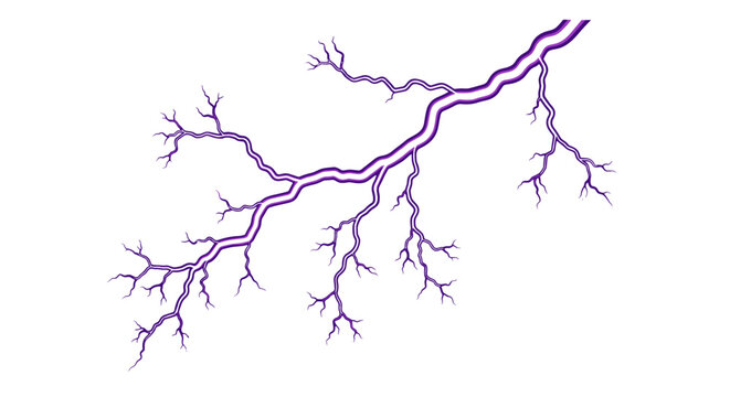 adobe Abstract purple lightning bolt illustration with branching fractal patterns against a white background symbolizing energy and power in a digital art style flash