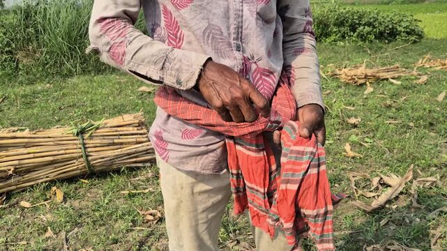 Close-up of Farmer Tying a Traditional Gamucha Around His Waist