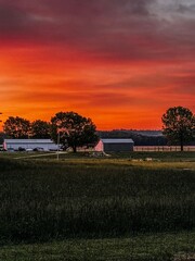 Fototapeta premium sunset over the field