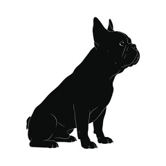 Obraz premium Black French Bulldog Sitting Profile View.