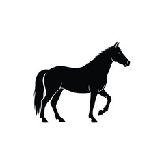 Fototapeta premium Black horse silhouette walking profile.