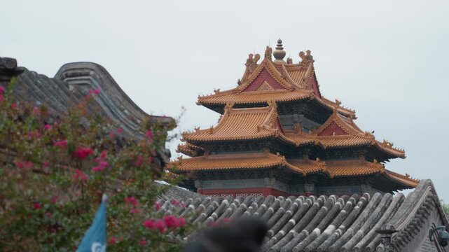 Golden pagoda roof tiers with blossom and foliage, layered tiled roofs and ornate eaves, vibrant orangegold glaze against pale sky, surrounding gray tiles and distant temple complex, travel