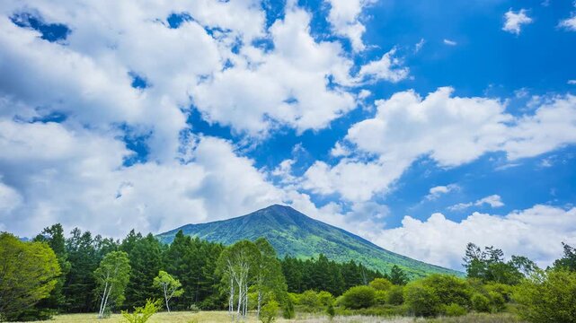 積雲が流れる男体山と戦場ヶ原　白樺 唐松 酸実（ズミ）